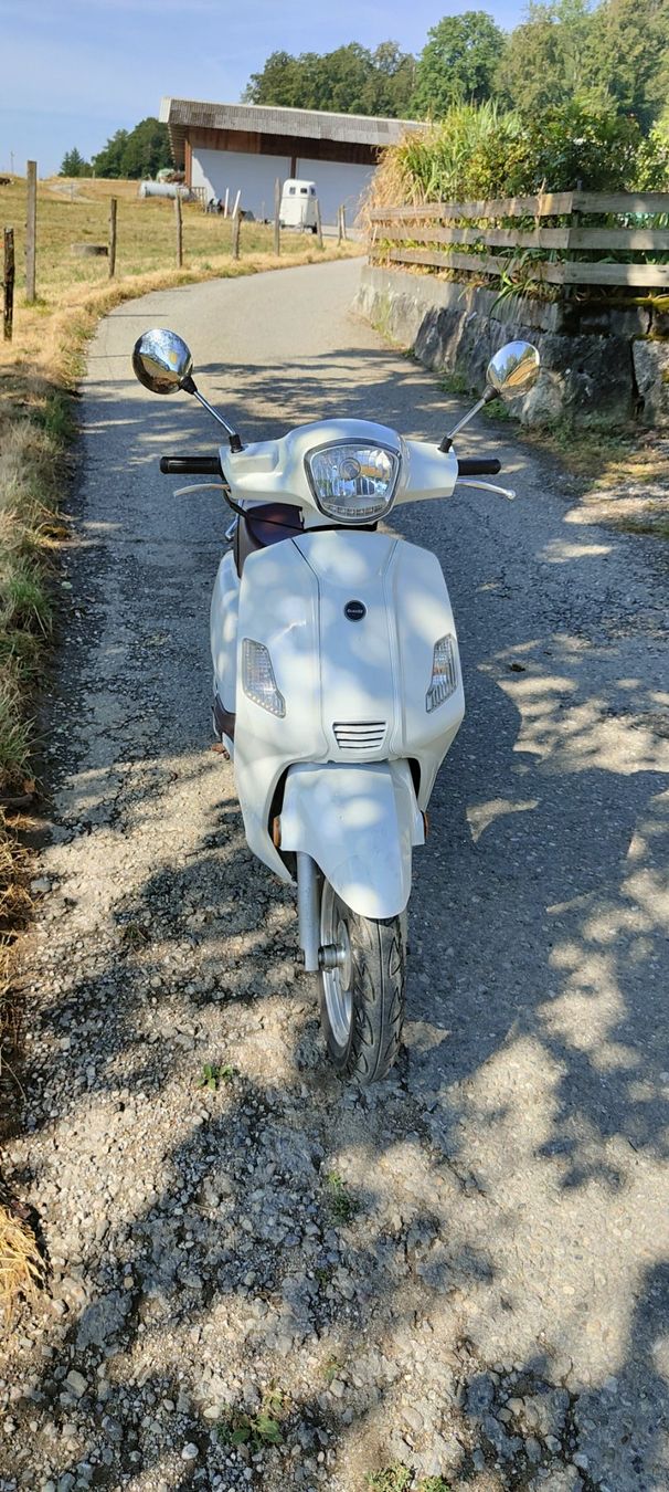 Tell Scooter: Roller  Tell Zahara – Usato da Wiedlisbach venduto da faz_9fcr 2