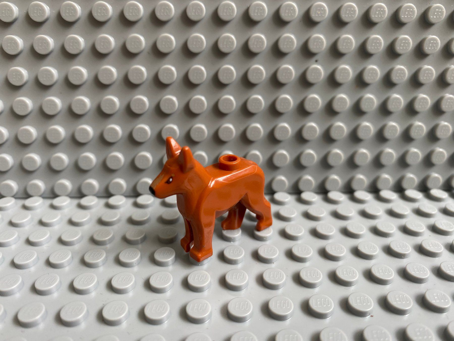 Lego Kit di costruzioni: Lego Tiere - Hund – Nuovo (secondo la descrizione) da Horw venduto da G39517sG