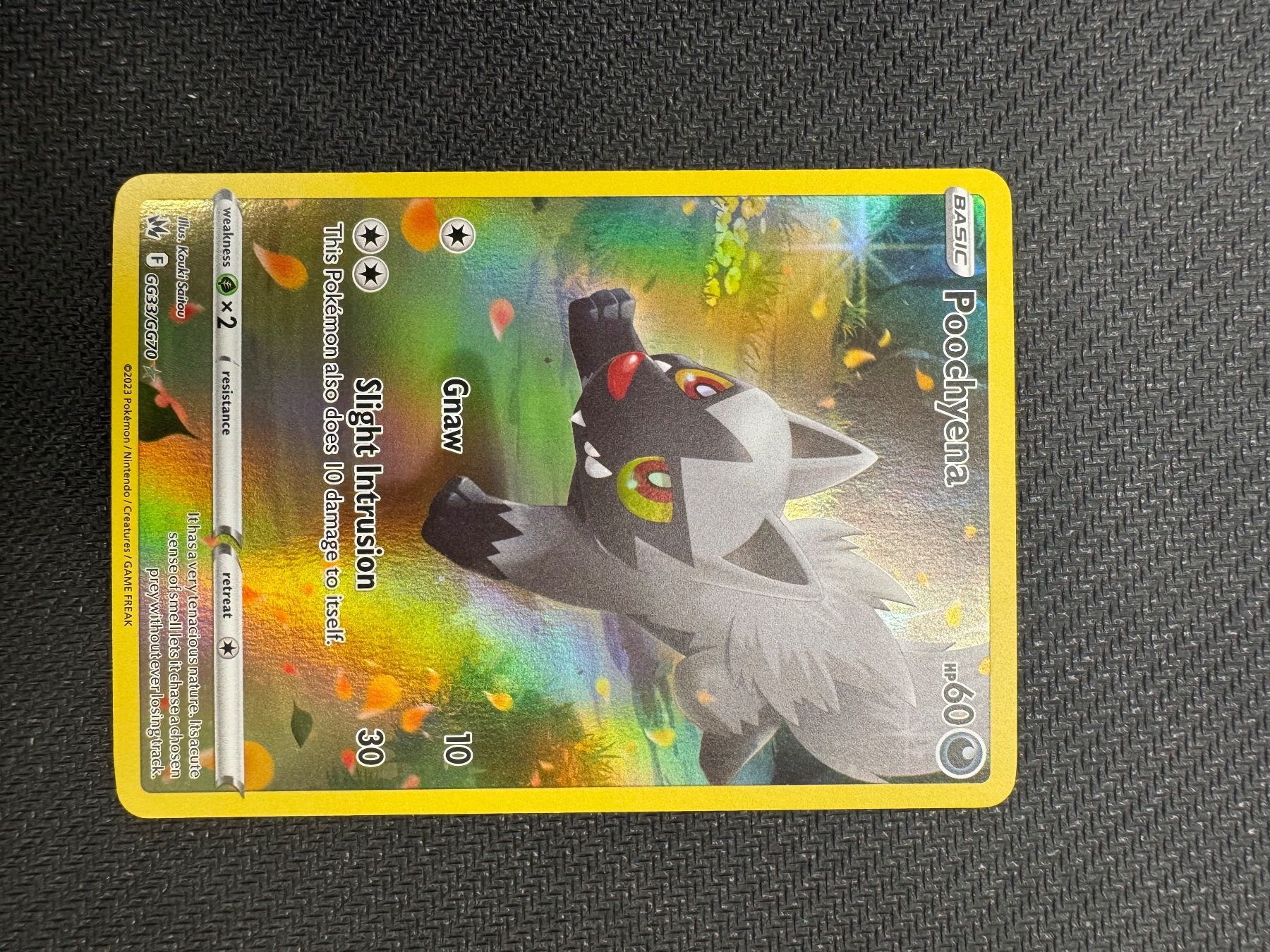 Pokémon Cartes à collectionner: POOCHYENA GG33/GG70 – D'occasion à Grancia par gro_x9gh 1