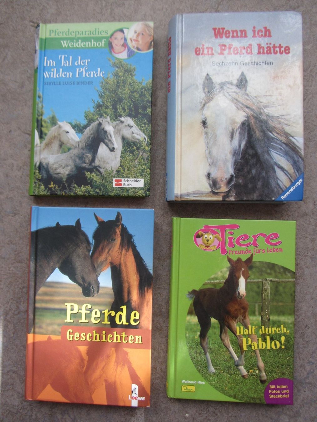 Libri: 4 Pferde Geschichten Bücher – Nuovo (secondo la descrizione) da Malters venduto da Hausi88