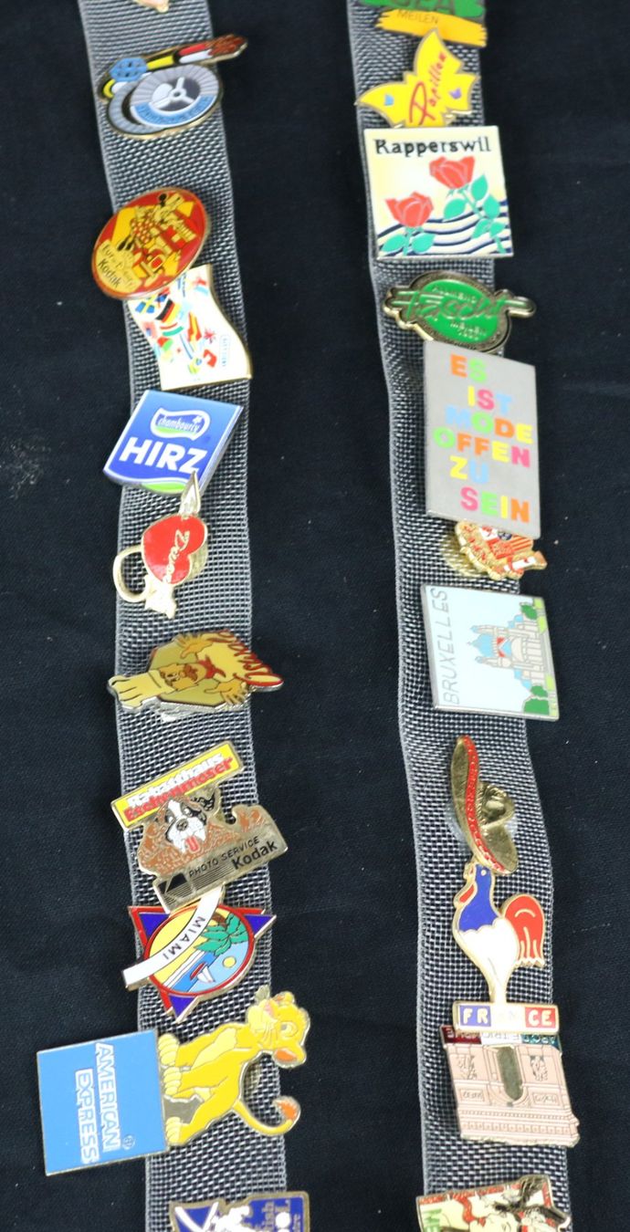 Placchette & Badge: Sammlung an Pins – Usato da Volketswil venduto da brockipfannenstil 3