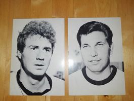Alte yb  young boys bern autogrammkarten schweiz