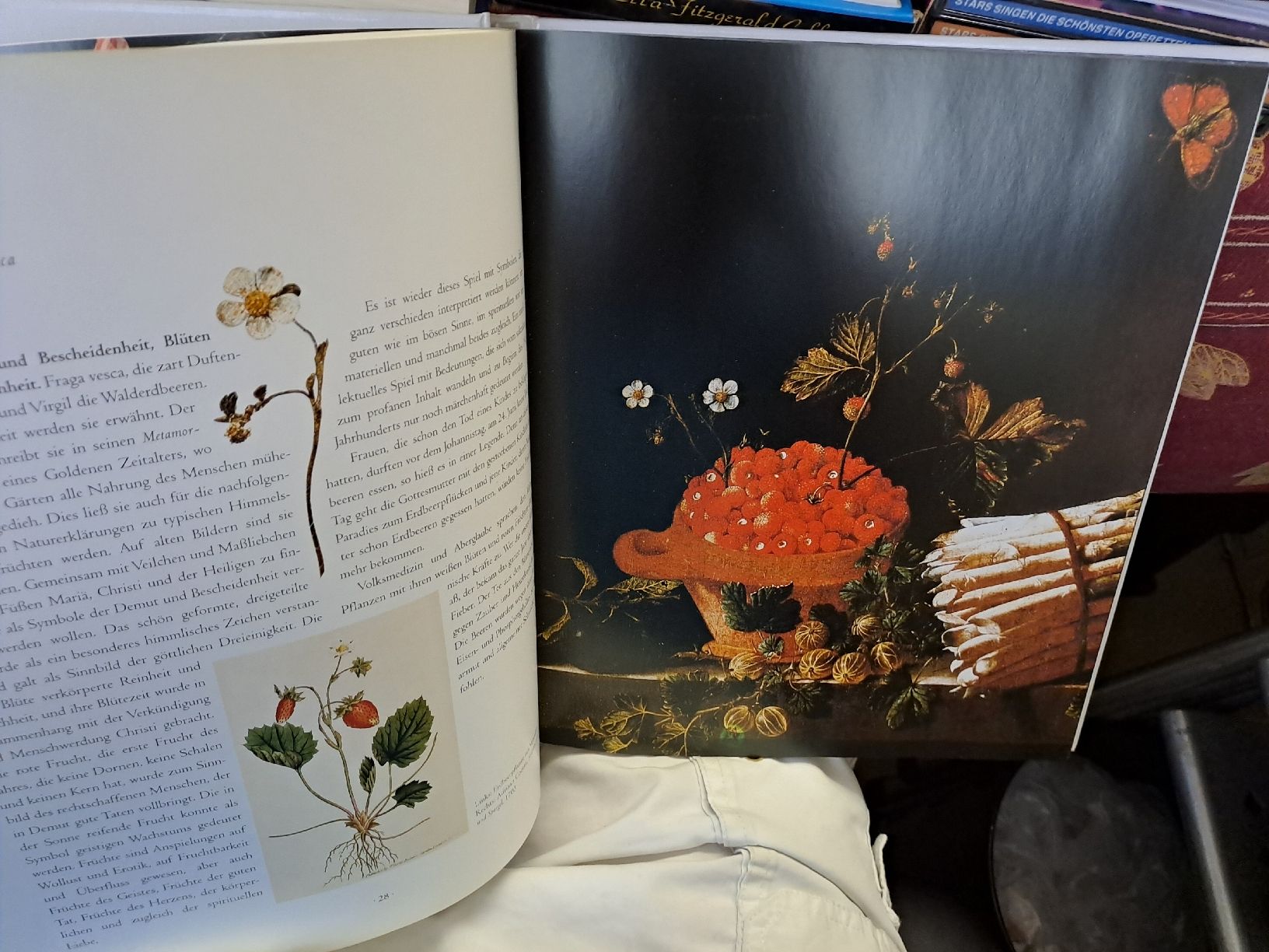 Libri: Die Sprache der Blumen - A-Z – Usato da Zürich venduto da Schoebi19 6