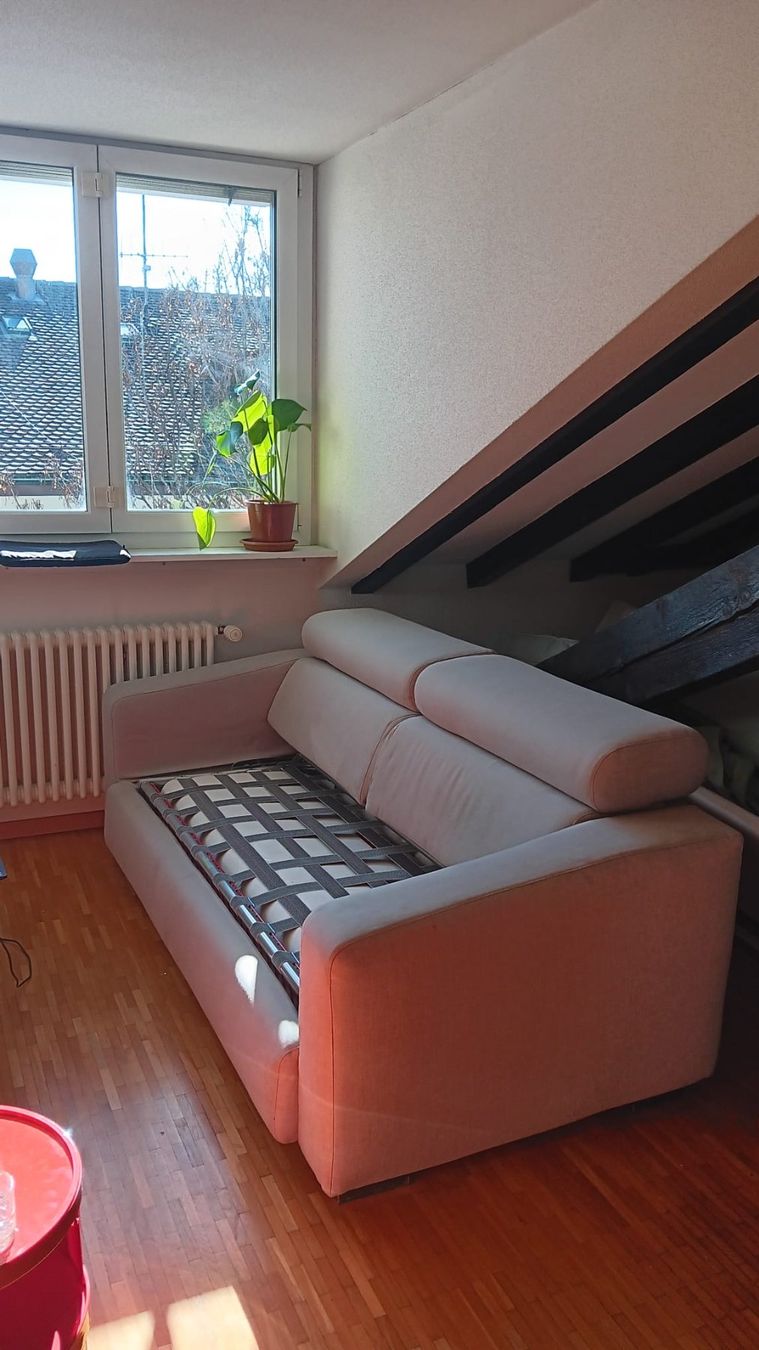 Divani: Canapé extensible / Extendable sofa – Usato da Carouge GE venduto da faneeel 1