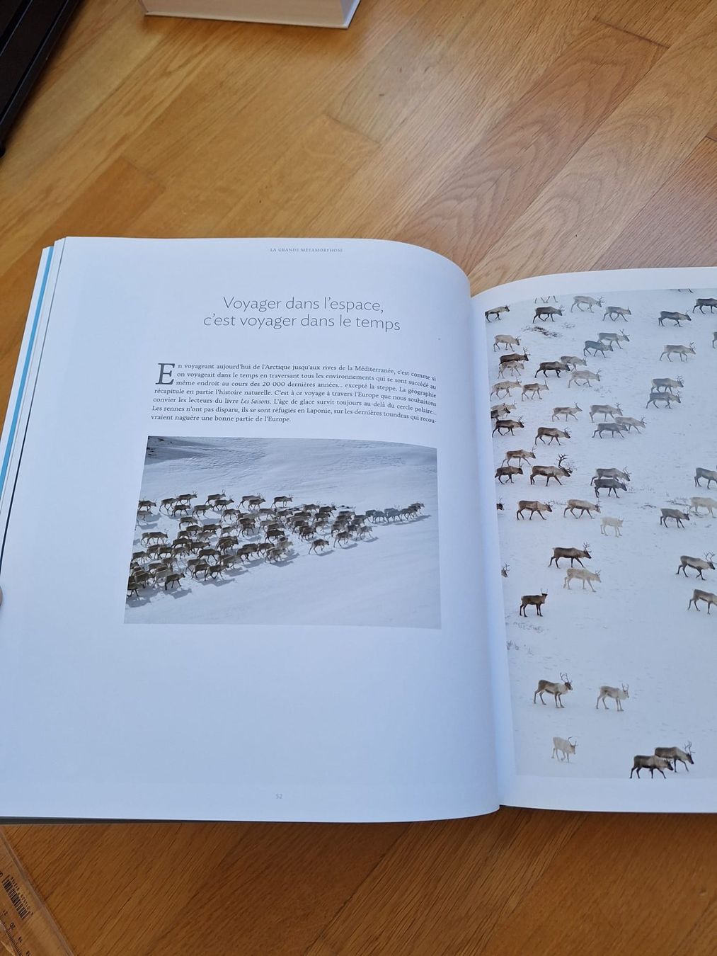 Libri: Livre "Les saisons" – Nuovo (secondo la descrizione) da Neuchâtel venduto da laureen-h 2