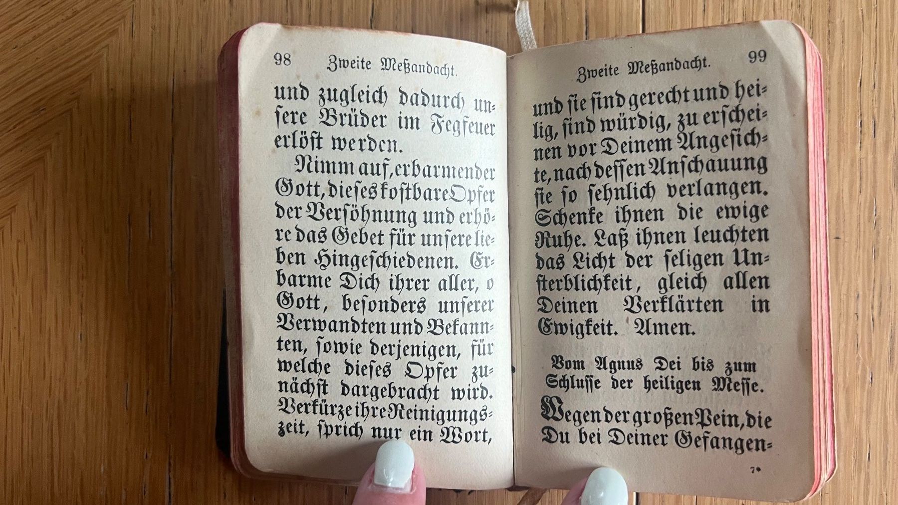 Libri: Antikes Gebetsbuch 1910 – Usato da Schübelbach venduto da Dolly990_2 7