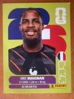 Panini FRA2