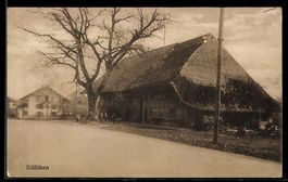 AK Kölliken, Wohnhaus mit großem Baum