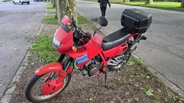 Moto d'occasion Honda NX 650 Dominator - L'icône increvable