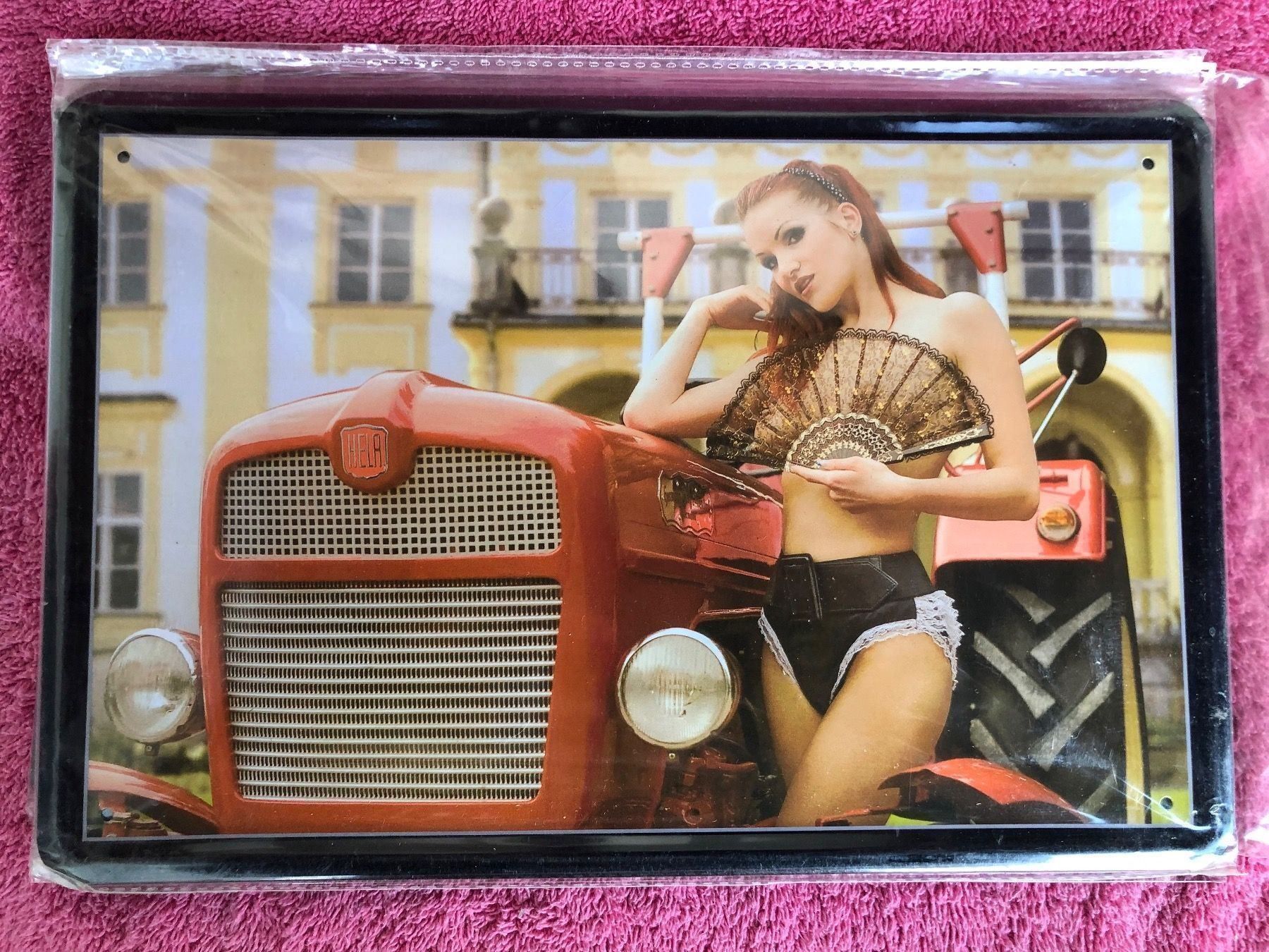 Insegne: Traktor mit frau Schlüter diesel – Nuovo (secondo la descrizione) da Reinach AG venduto da rares75