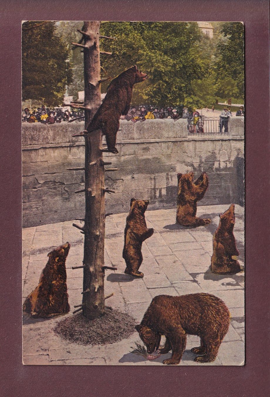 Cartoline postali: BERN - Bärengraben - 1921 – Usato da Pully venduto da nicecards