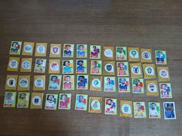 Panini WM 2026 Bilder / 223 Stk. / 4 Cola / Keine Doppelten