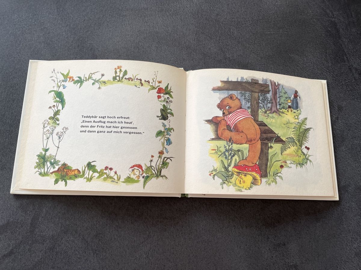 Libri: Teddy's Ausflug in die Welt Anny Hoffmann – Usato da Niederhasli venduto da Suneblueme 2