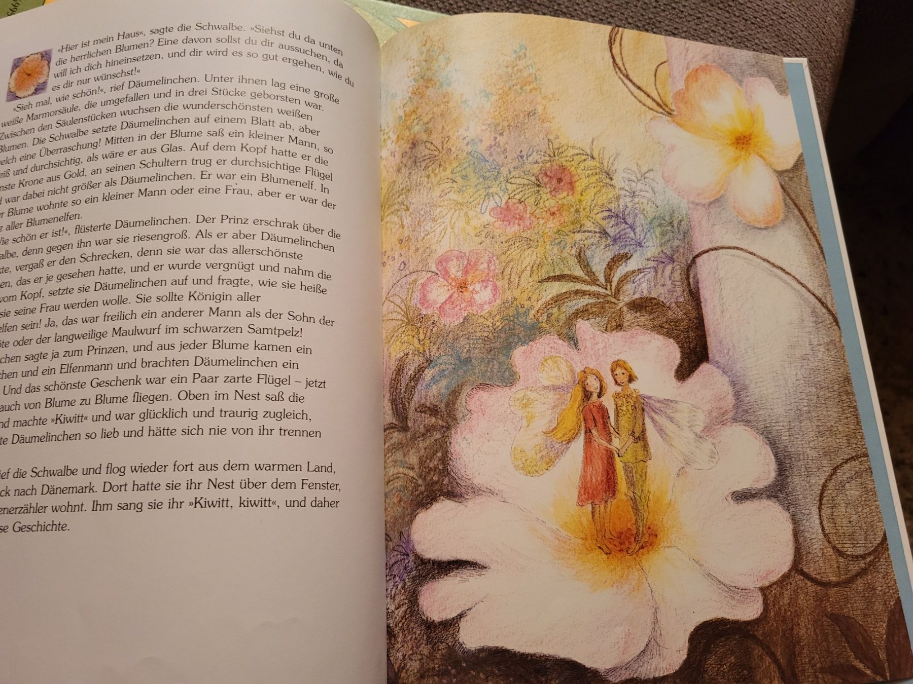 Libri: Däumelinchen  Bilderbuch Bernadette – Usato da Uzwil venduto da mad_r6mv 2
