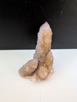 Prachtvoller Kaktus-Amethyst