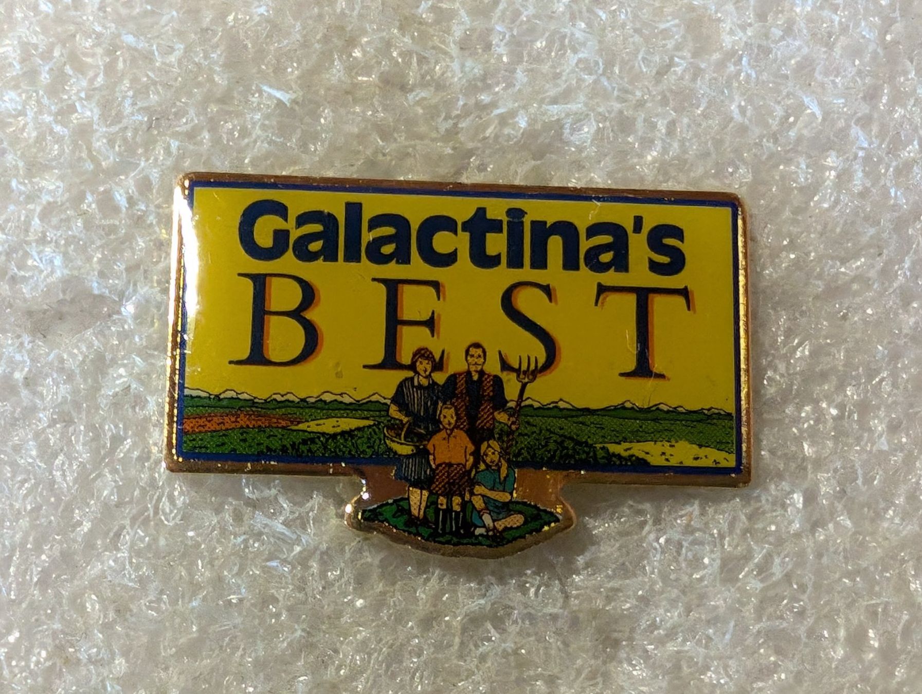 Placchette & Badge: Ansteckpin 153: Galactina's Best – Usato da Oppligen venduto da Pin-Fall-Shop