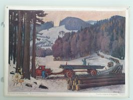 Schulwandbild Nr. 122 Hochwald und Holztransport