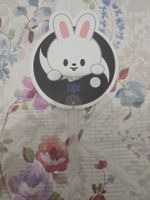 stray kids karma popup mini fan leebit 