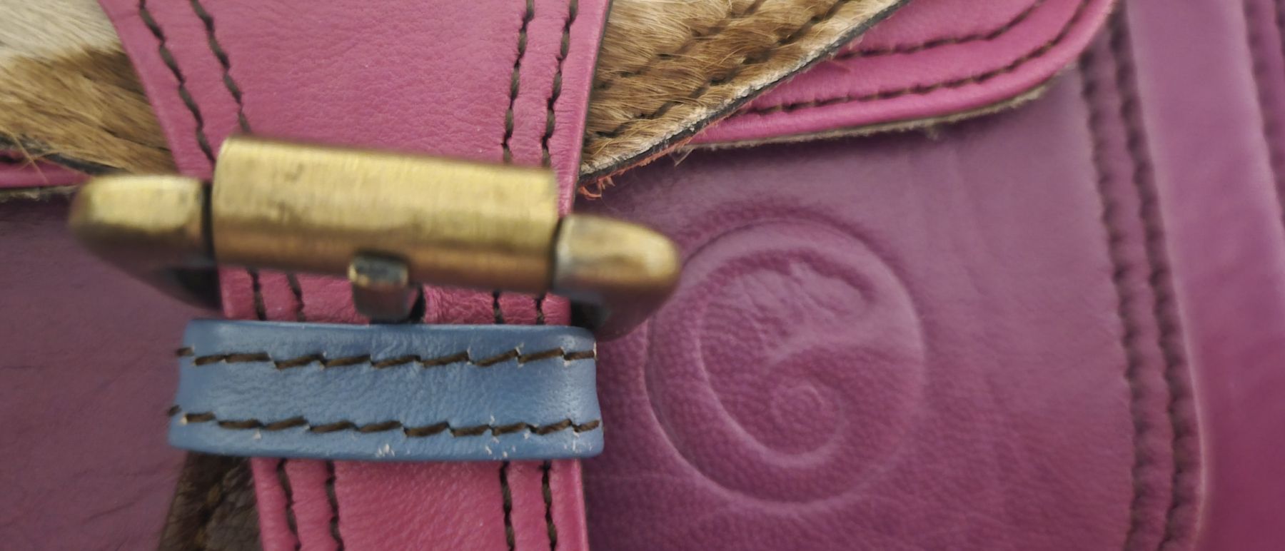 Borse da donna: charmaleon handtasche echt leder fast neu – Usato da Romanshorn venduto da Hadrenalin 1