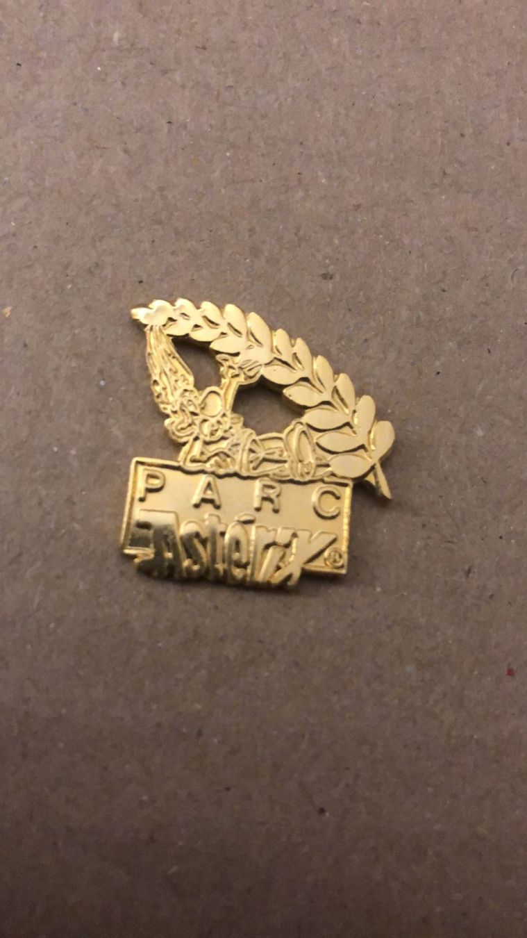 Plaketten & Abzeichen: Vends Pins Parc Astérix – Gebraucht aus Corpataux von pfi_27t6