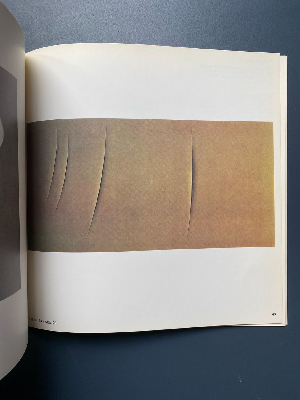 Libri: Lucio Fontana - Concetti Spaziali – Usato da Zürich venduto da jesulin05 2