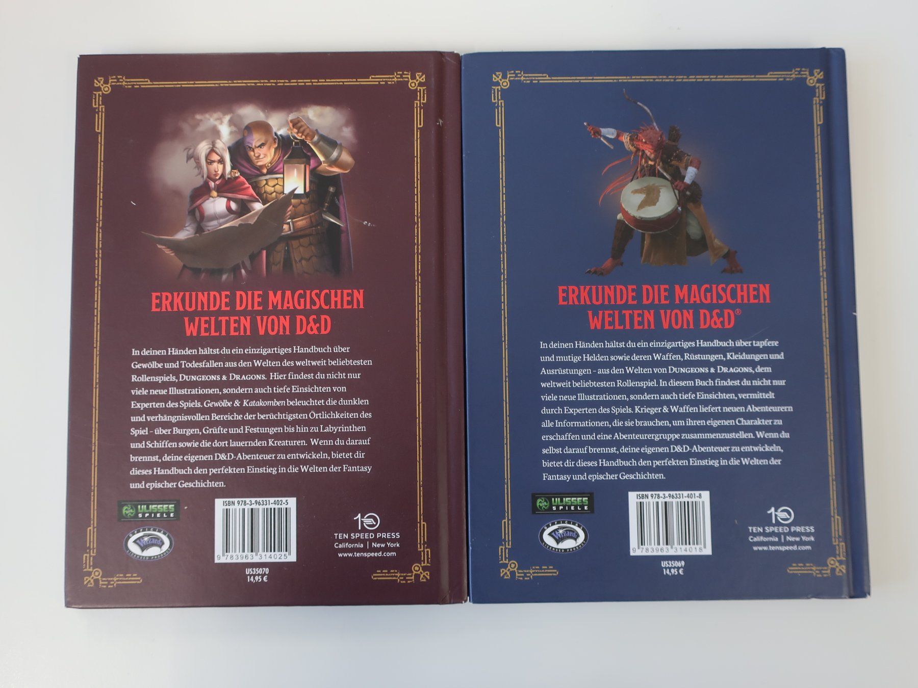 Libri: 4 Stück Dungeons & Dragons Handbücher – Usato da Volketswil venduto da brockipfannenstil 5