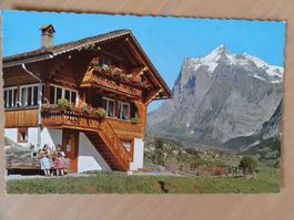 Grindelwald - Wetterhorn - carte postale vintage