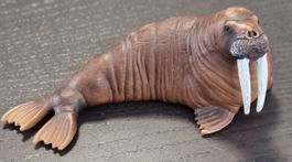 Schleich Walross Figur Kunststoff gebraucht