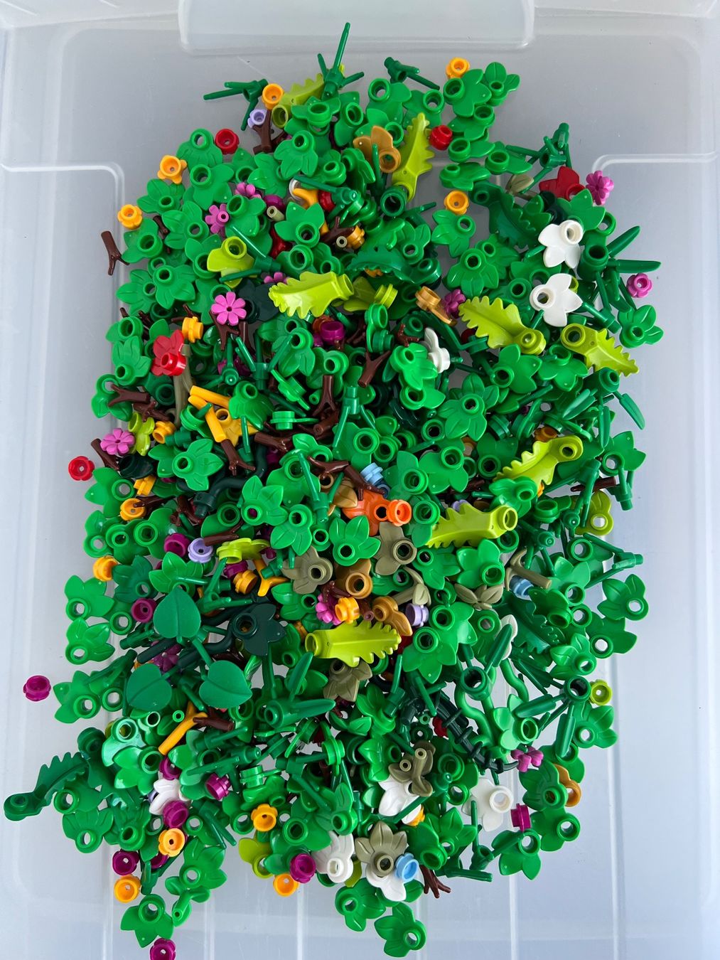 Lego Spielzeuge: LEGO Planzenteile Mix – Gebraucht aus Uttigen von sonorsonic