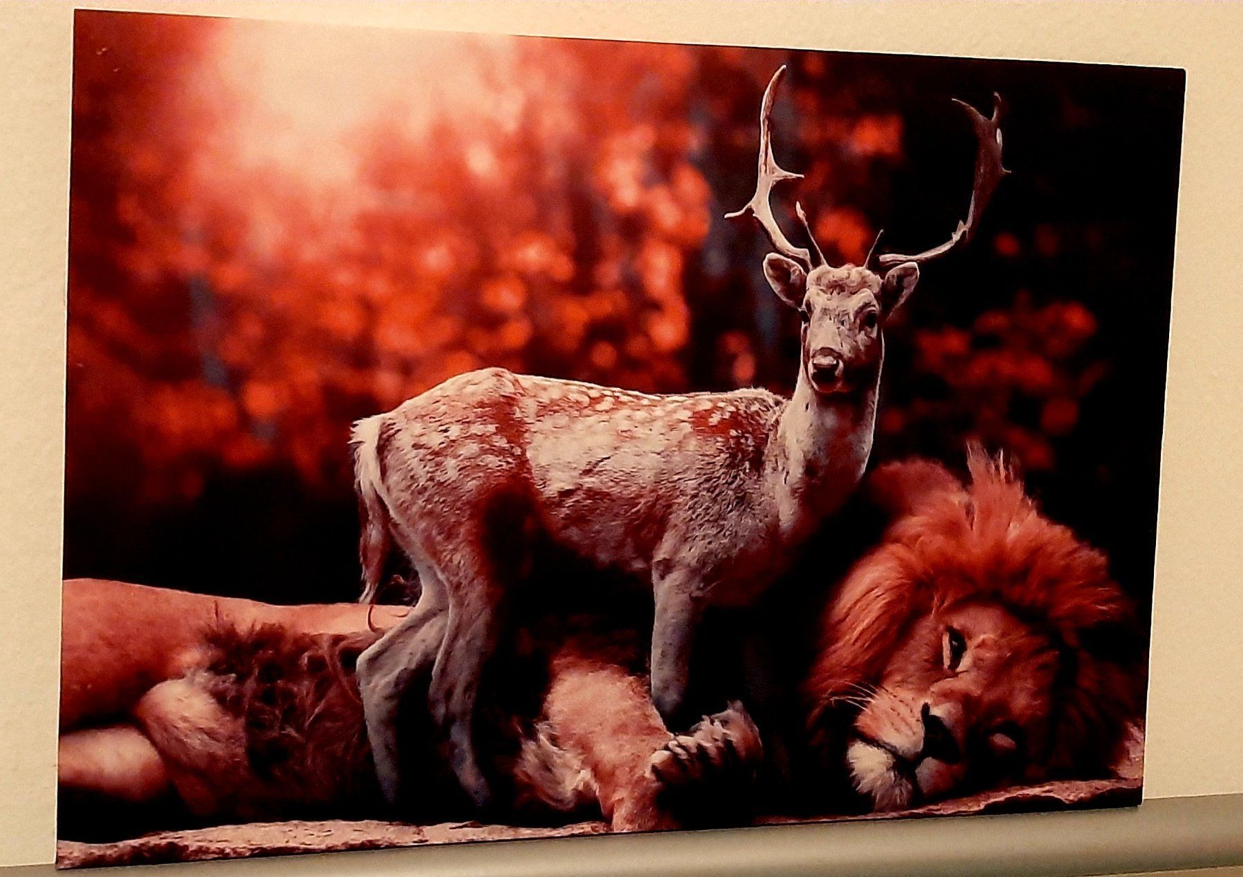 Cornici: Kunstbild LED Hirsch Und Löwe – Nuovo e nell'imballaggio originale da Kilchberg ZH venduto da ruedi34 2
