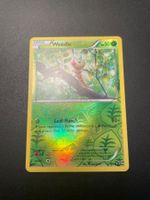 Weedle XY Base Set 3/146 Reverse Holo