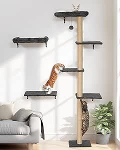 Pareti & prese d'arrampicata: Kletterwand Katzen-Set, 178 cm hoch – Nuovo e nell'imballaggio originale da Oberentfelden venduto da ase_sk8n