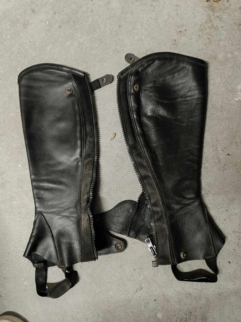 Stinchiere & Fasciature: Dyon Chaps Stiefelschaft Leder XS schwarz – Usato da Malans GR venduto da maassl