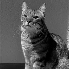 Profile image of kun_6syh