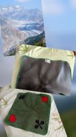 Tapis de jeu Jass neuf jamais utilisé/ an alle Jass Freunde!