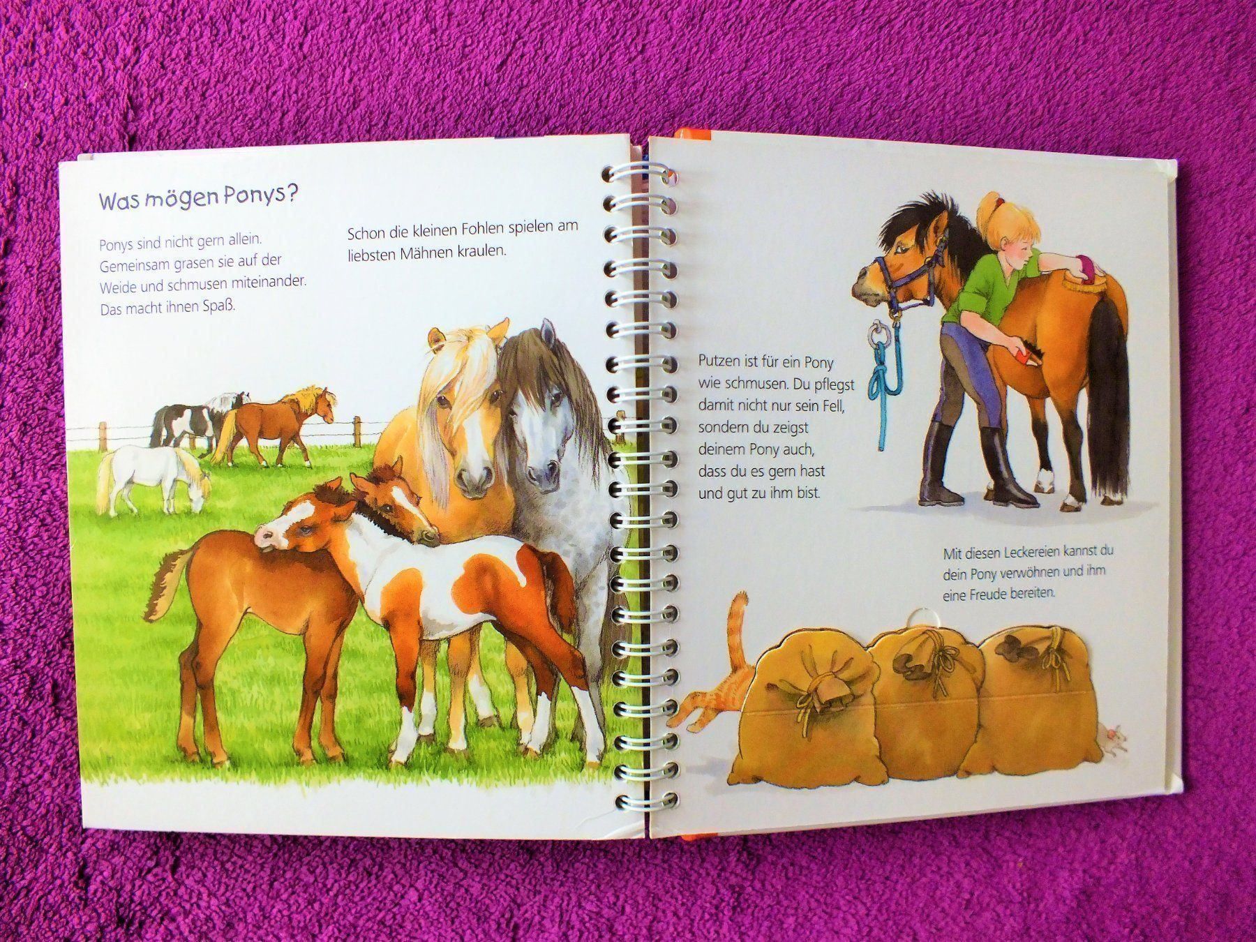 Libri: Wieso Weshalb Warum Junior - Das Pony – Usato da Müllheim Dorf venduto da Seeeule01 7