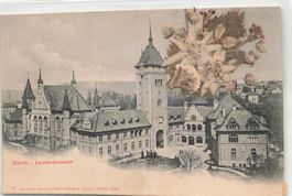 Zurich edelweiss