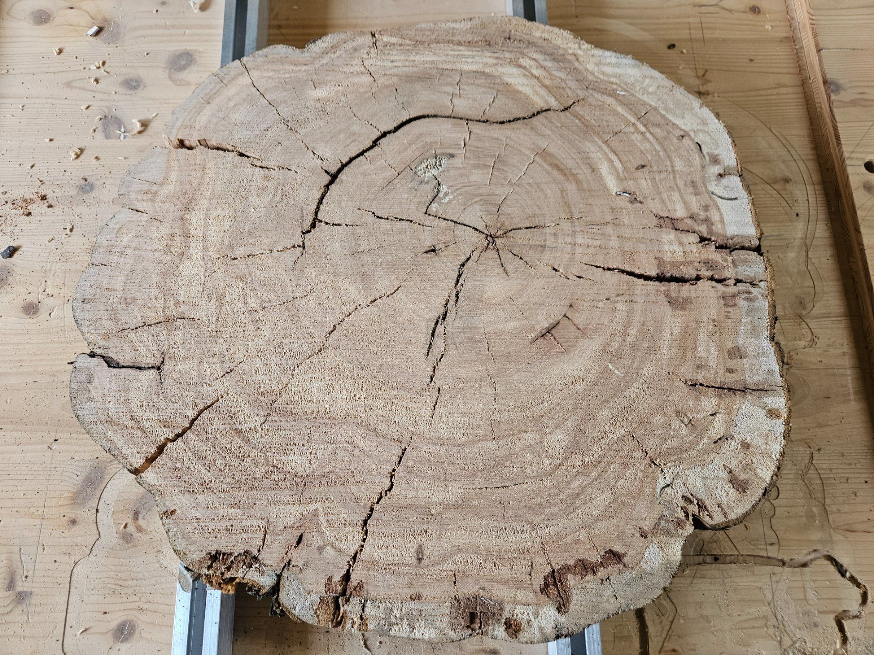 Articles en bois: Baumscheibe Kirschbaum Holz – Neuf (Voir description) à Schangnau par egli6.2 2