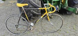 Klassisches Koga Miyata Rennrad