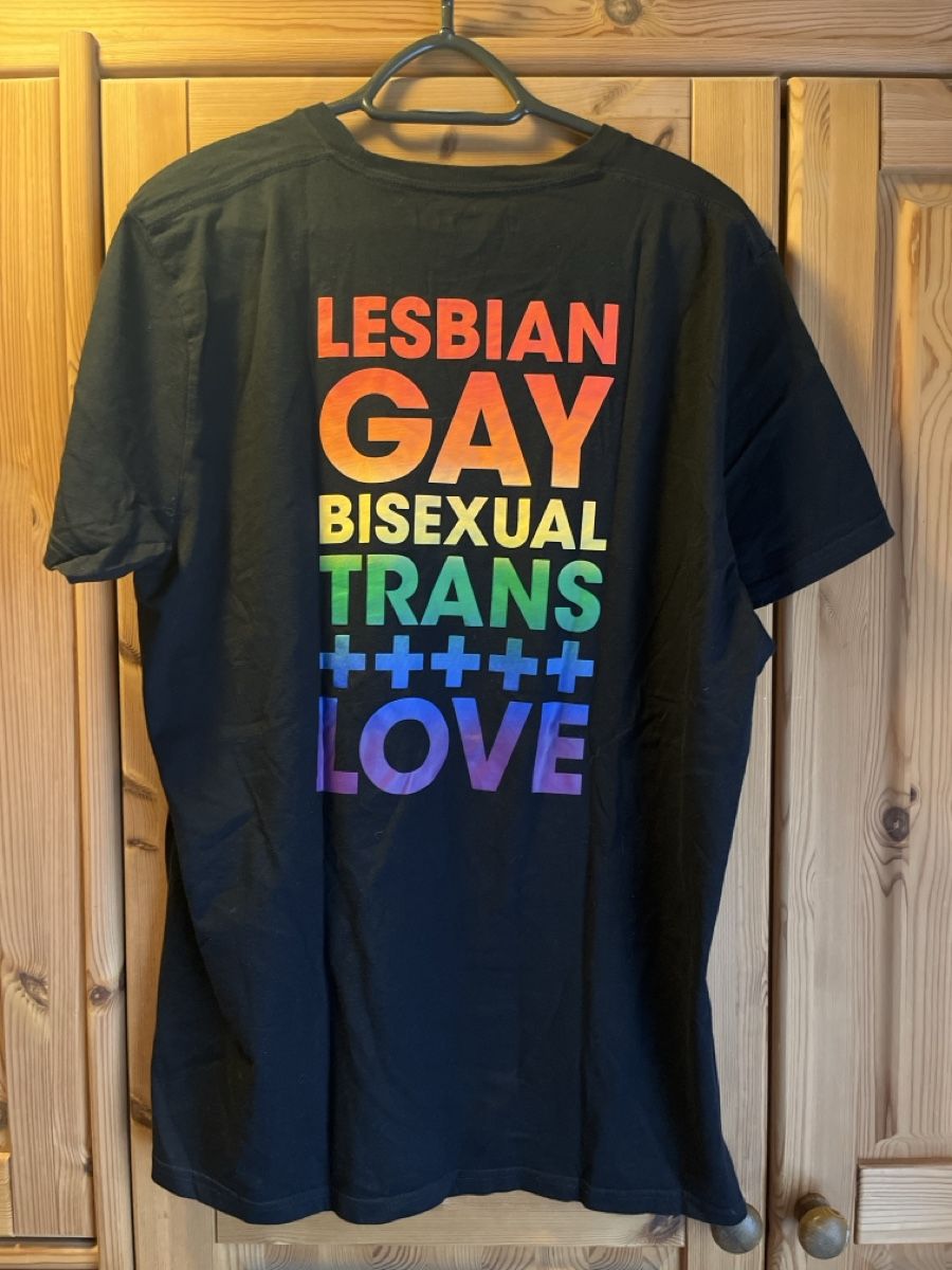 Hollister T-shirt: Hollister Pride T-Shirt – Usato da Einsiedeln venduto da sandramon 1