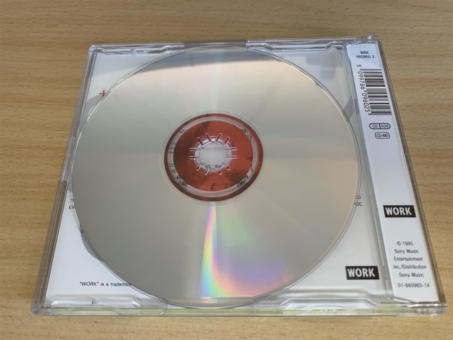 CD: Diana King – Shy Guy – Usato da Rikon im Tösstal venduto da Alpenmutz 1