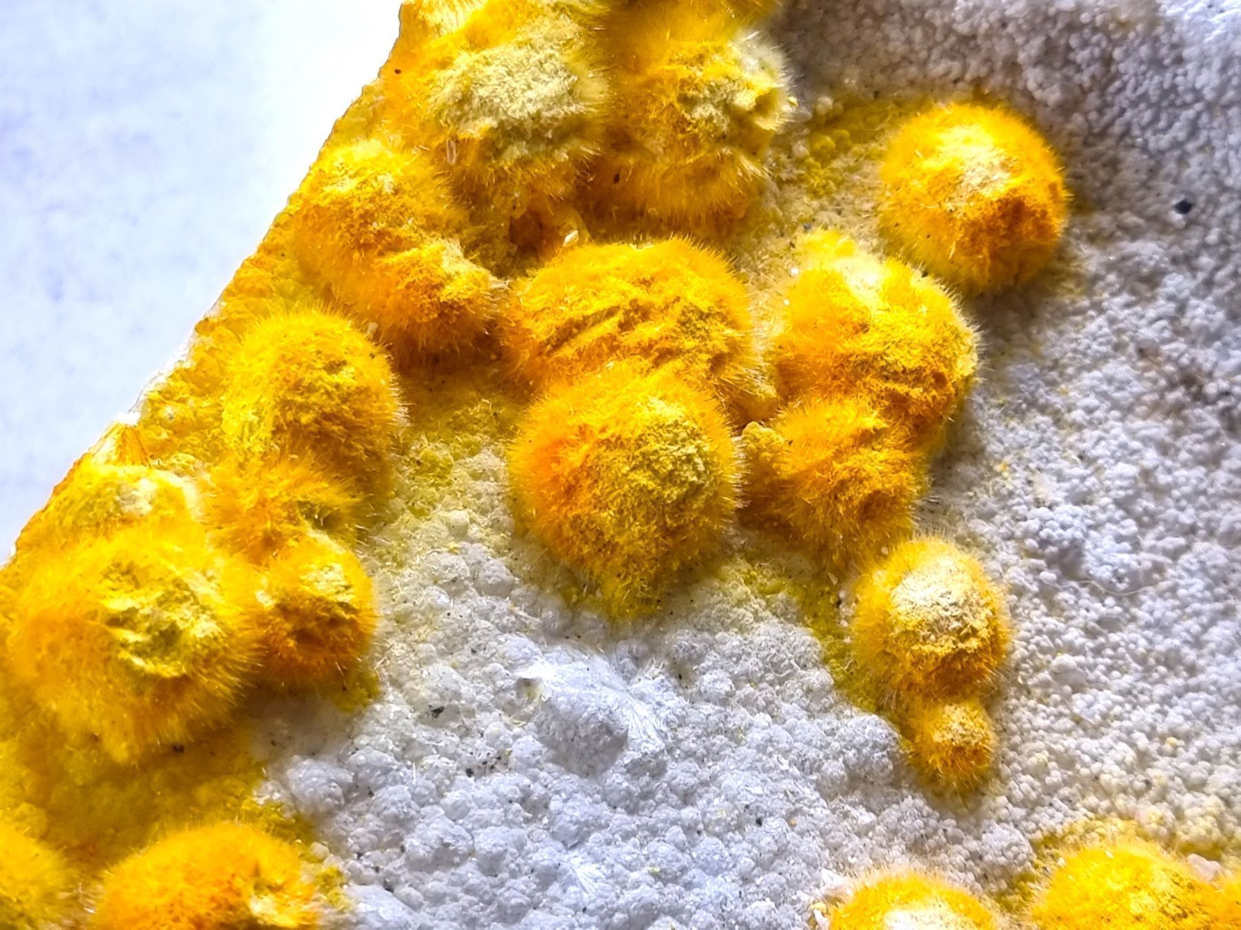 Mineralien & Heilsteine: SPHERE CRYSTALS YELLOW OKENITE SPECIMEN 9.4 Kg – Gebraucht aus Figino von panshop 4
