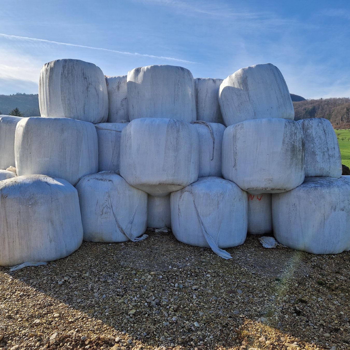 Mangimi: Siloballen /  Silage – Nuovo e nell'imballaggio originale da Büren SO venduto da baschi87 1