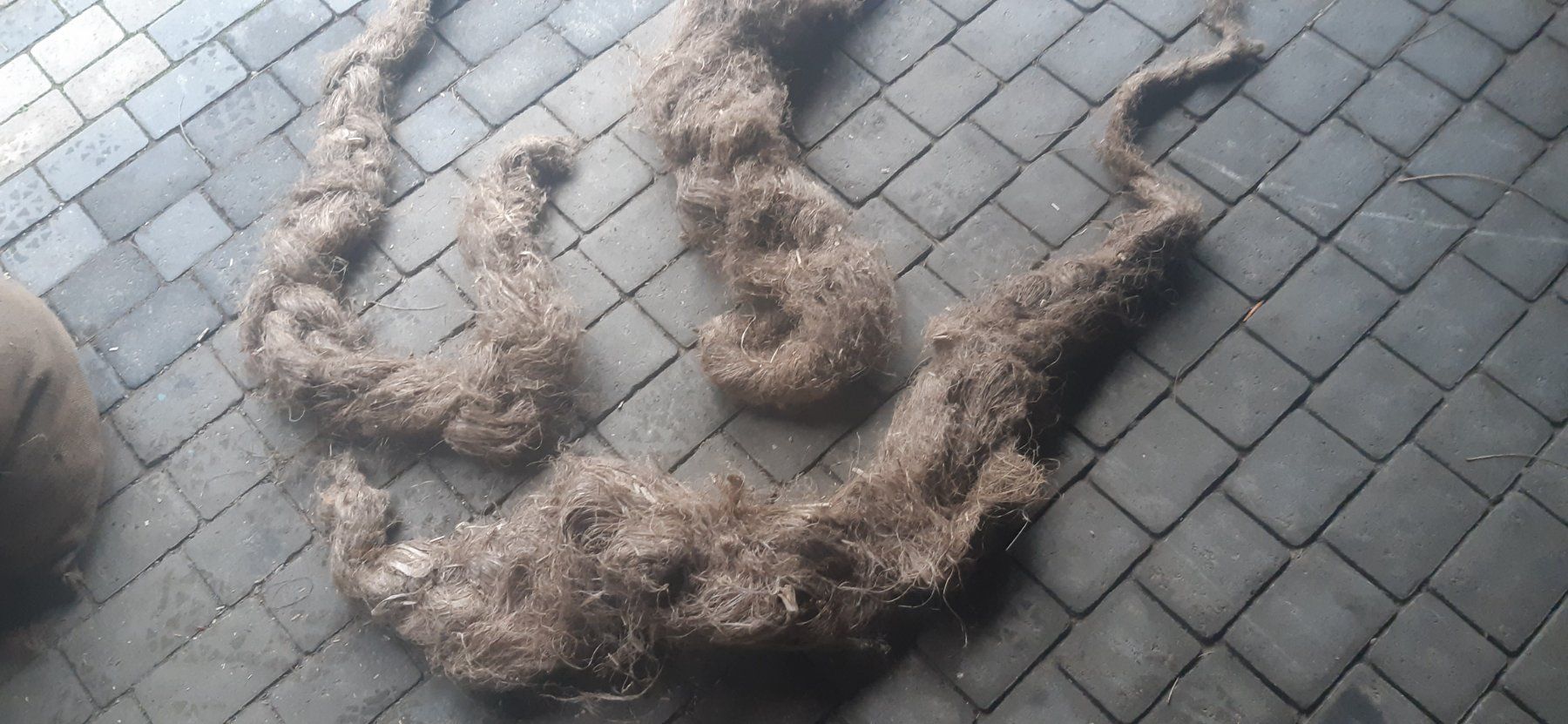 Tutte le decorazioni: crin de cheval – Usato da dompierre venduto da kiko66 2