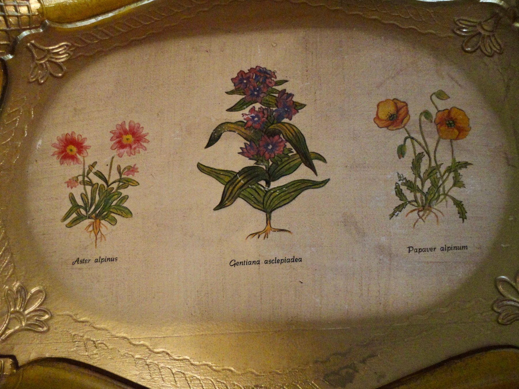 Piatti di portata: Dekorative Vintage Serviertablett mit Alpenblumenmuster. – Usato da WÄDENSWIL venduto da katti01 1