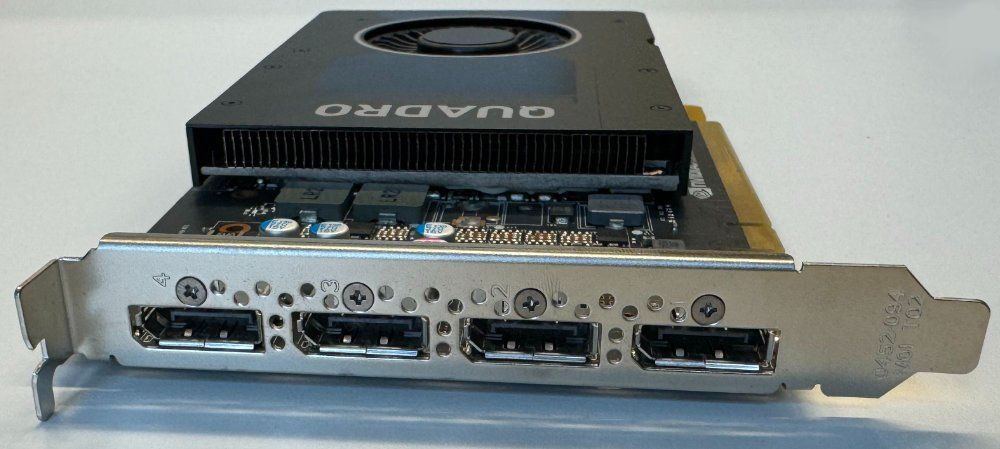 Nvidia Schede grafiche: Nvidia Quadro P2000 5GB – Usato da Bern venduto da sn8per 5