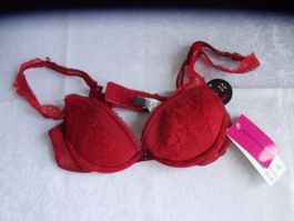 BH 85 A von Passionata, dunkelrot
