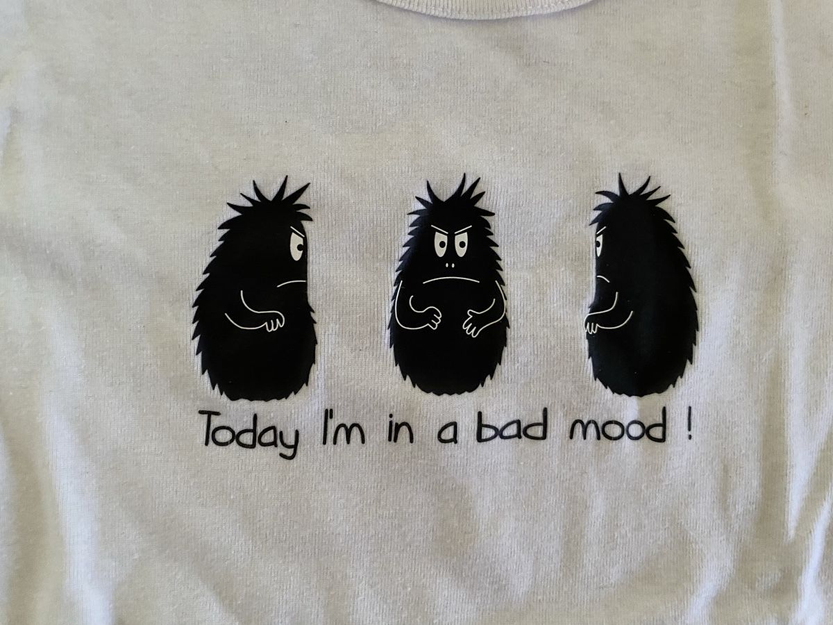T-shirt: T-Shirt Gr. 128/134 – Usato da Meggen venduto da mavmav