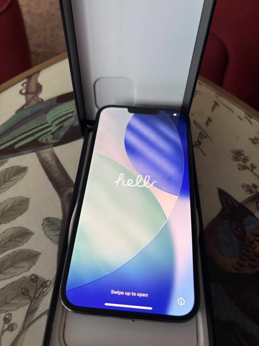 Apple Telefoni cellulari / Smartphones: iPhone 13 Pro Max 1TB Graphit - sehr guter Zustand – Nuovo (secondo la descrizione) da Eglisau venduto da lar_9bzg 4