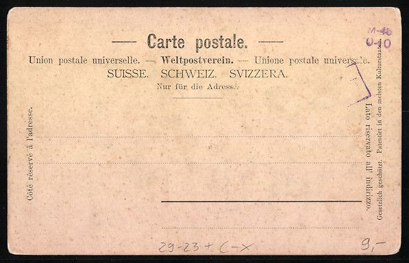 Cartoline postali: Relief-AK Interlaken, Partie vom Höhewe – Usato da Berlin venduto da bartko-reher 1